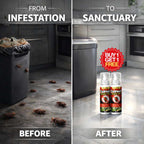 Cockroach Repellent Spray - Buy 1 Get 1 Free